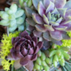 Meet your Posher, Cristina